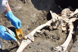 skeleton-pompeii