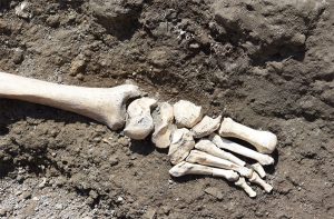 skeleton-pompeii