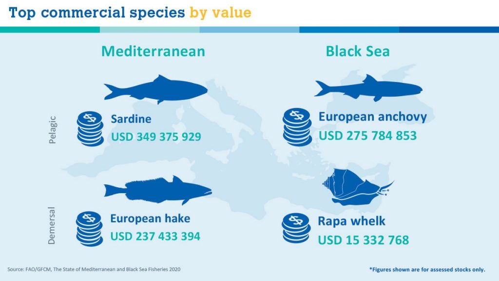 Mediterranean overexploitation