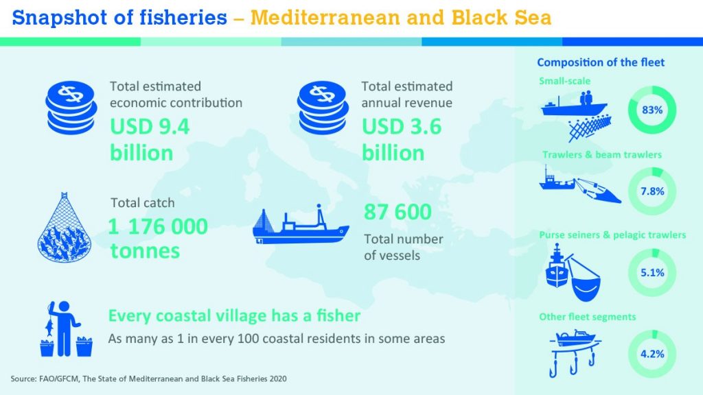 Mediterranean-overexploitation