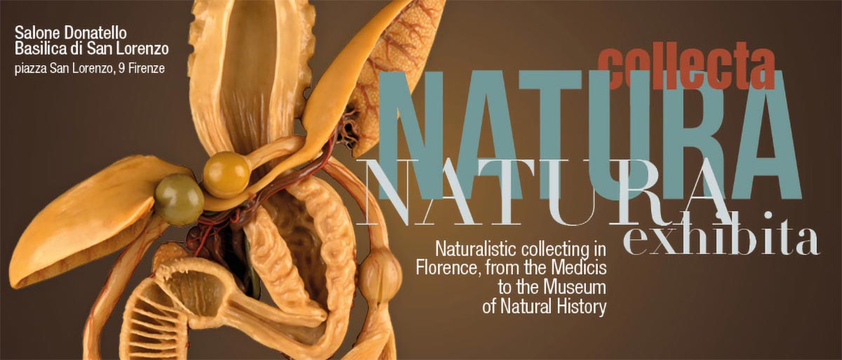 Natura Collecta, Natura Exhibita