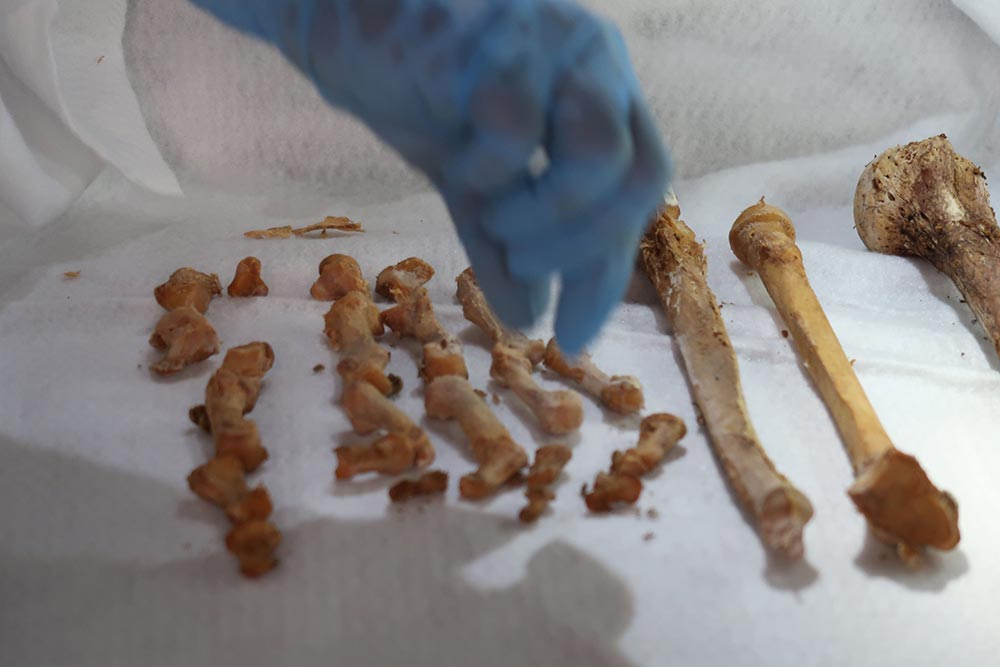 The tomb of Marcus Venerius Secundio discovered at Porta Sarno with mummified human remains