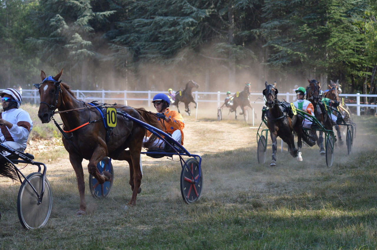 Lesser-Known Horse Racing Events Worth Discovering