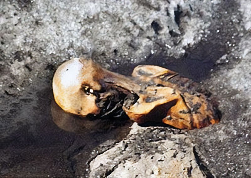 Helmut Simon photographed Ötzi the Iceman, frozen in the glacier, when he discovered the body in September 1991.