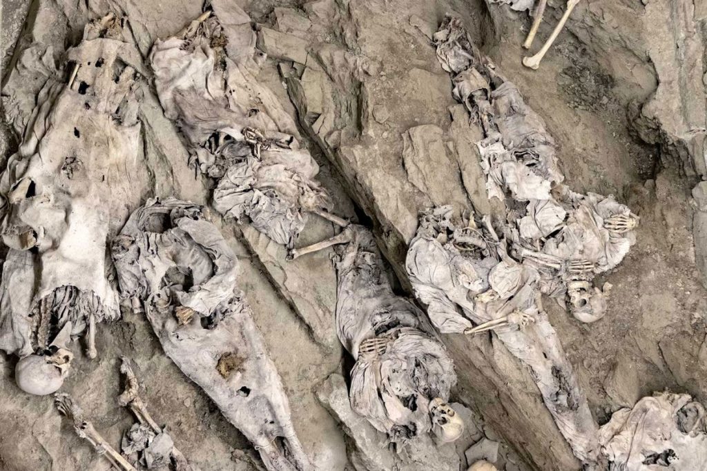 The Mummies of Roccapelago