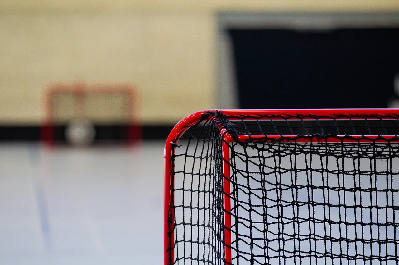 Best Sportsbooks for NHL Betting in the US in 2026