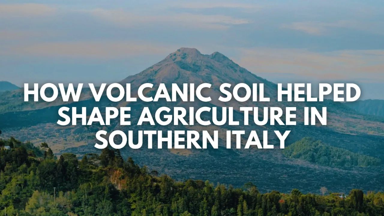 How Volcanic Soil Helped Shape Agriculture in Southern Italy
